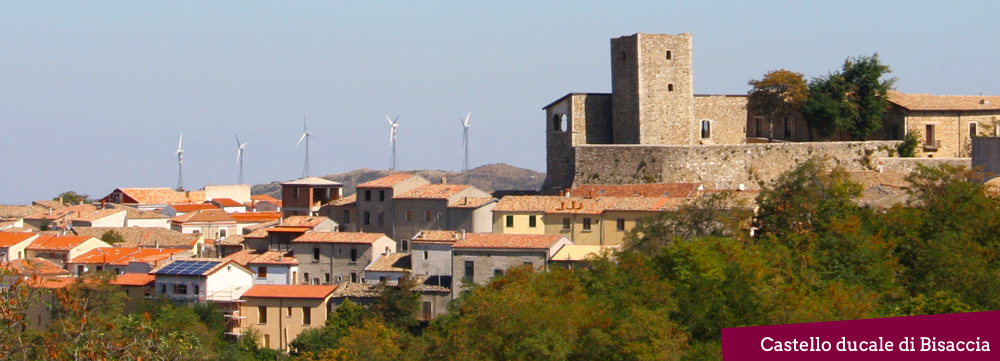 bisaccia